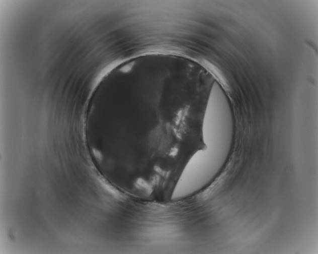 X0000097500854200803142018