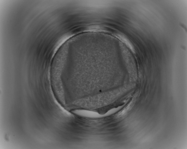 X0000097500855200803142018