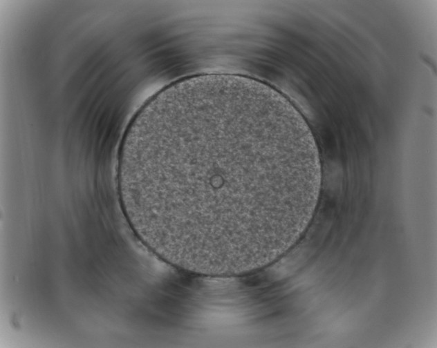 X0000097500856200803142018