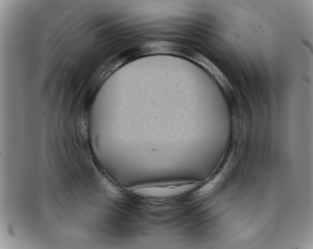 X0000097500857200803142018