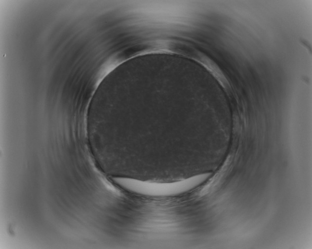 X0000097500858200803142018