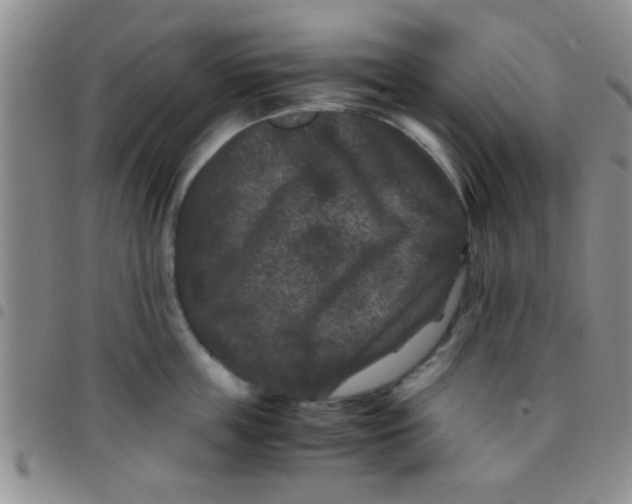 X0000097500859200803142018