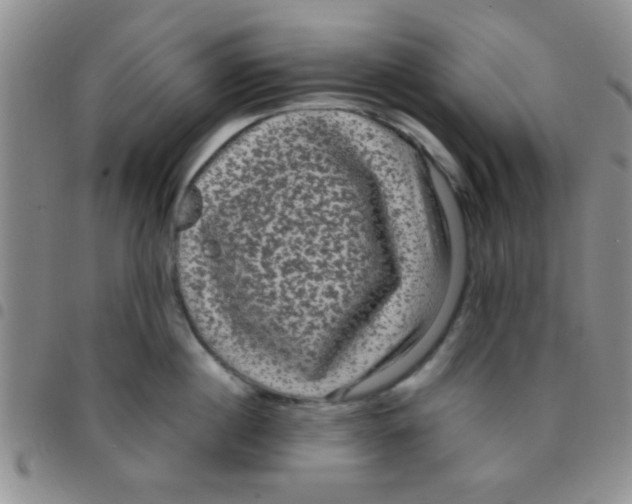 X0000097500860200803142018