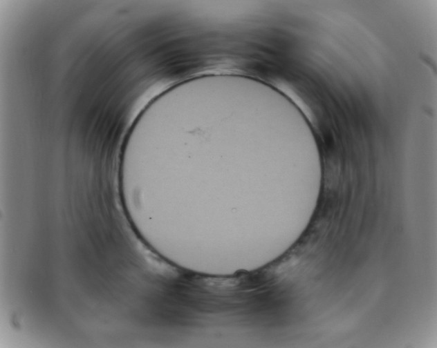 X0000097500861200803142018