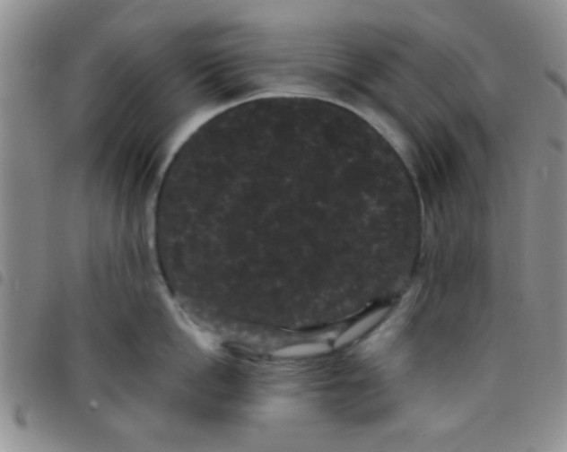 X0000097500862200803142018