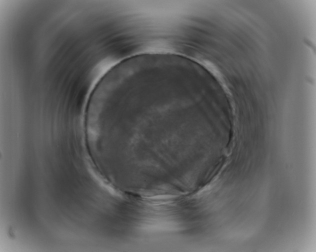 X0000097500864200803142018