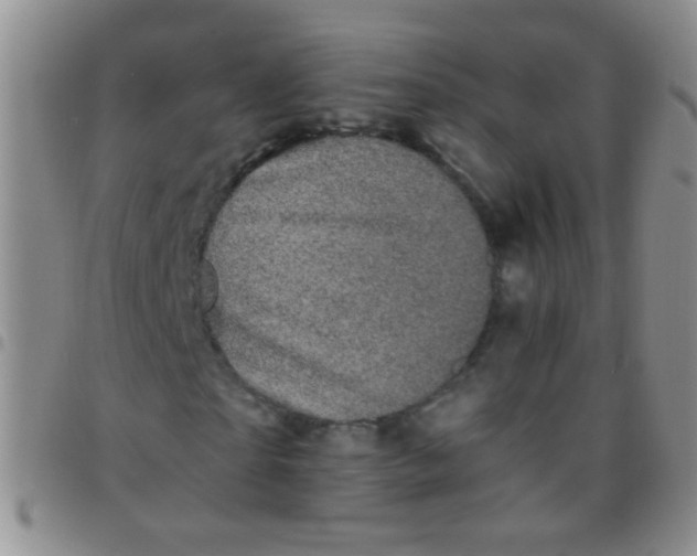 X0000097500865200803142017