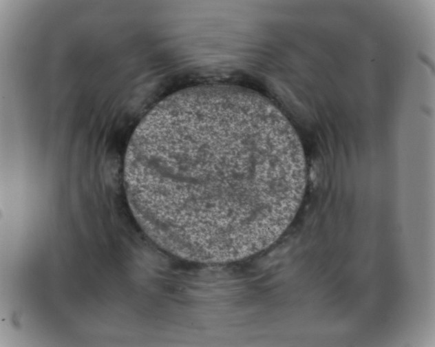 X0000097500867200803142017