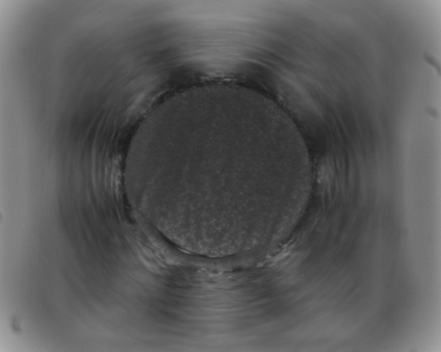 X0000097500868200803142017