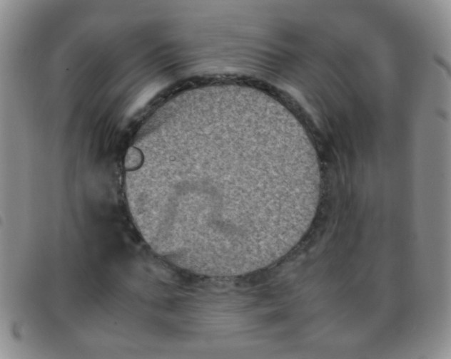 X0000097500871200803142017