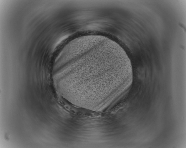 X0000097500872200803142017