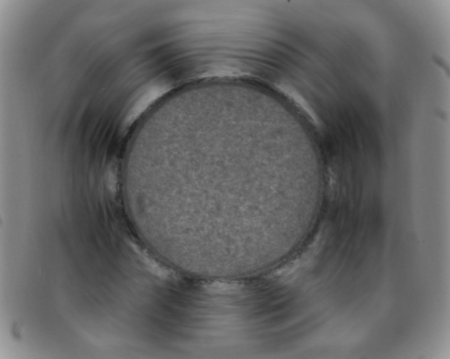 X0000097500874200803142017