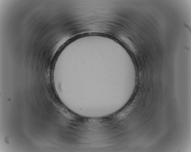 X0000097500875200803142017