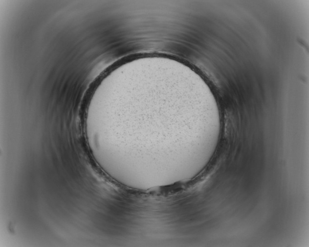 X0000097500876200803142017