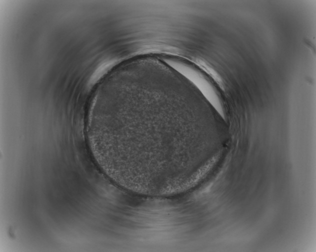 X0000097500877200803142017