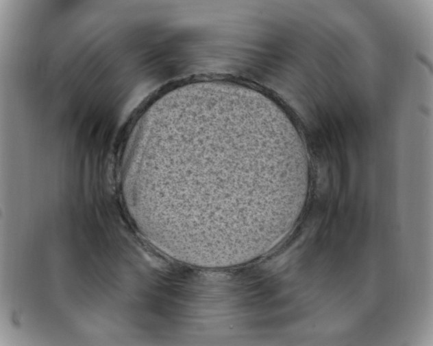 X0000097500878200803142017