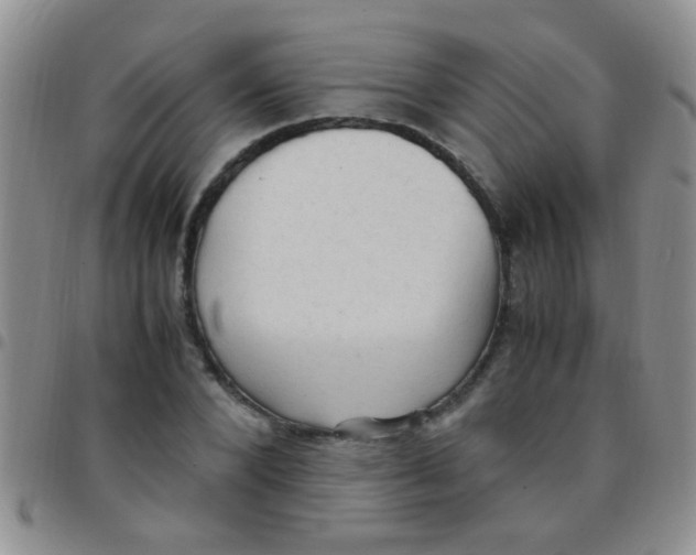 X0000097500880200803142017