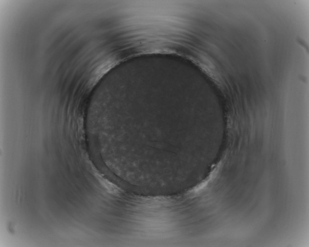 X0000097500881200803142017