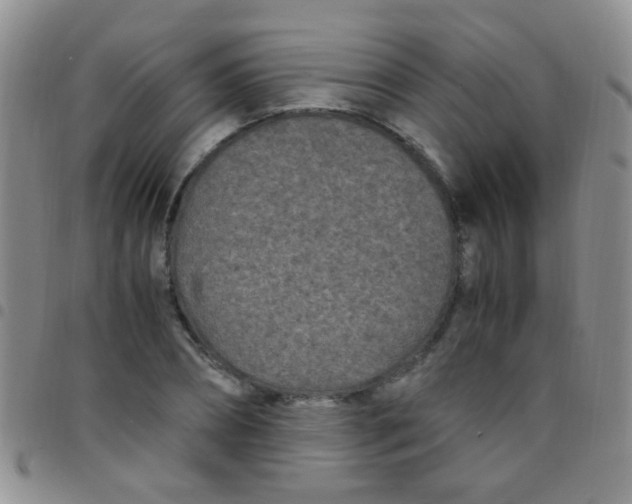 X0000097500882200803142017