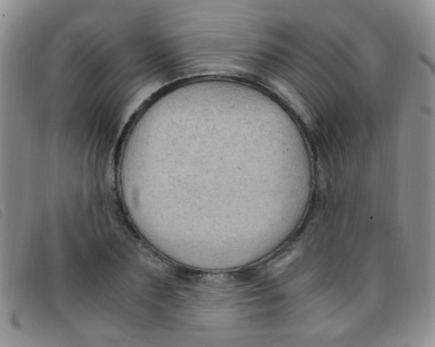 X0000097500883200803142017