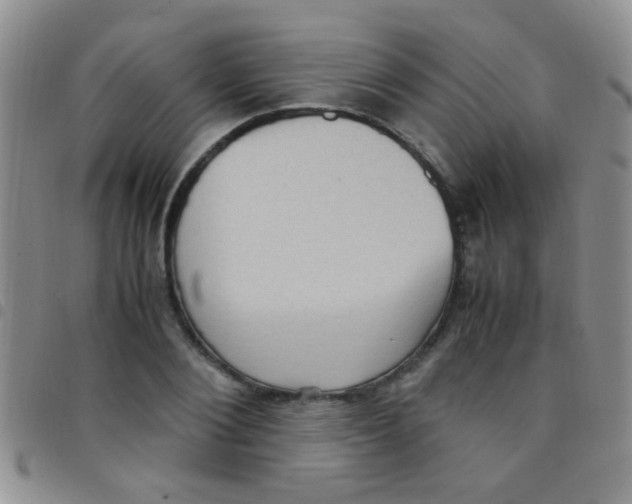 X0000097500884200803142017