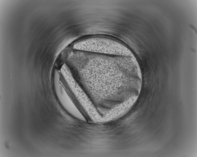 X0000097500885200803142017