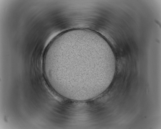 X0000097500886200803142017