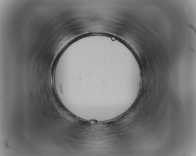 X0000097500887200803142017