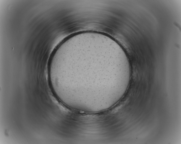 X0000097500888200803142017