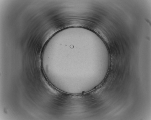 X0000097500890200803142017