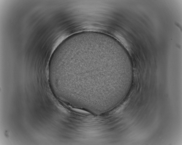 X0000097500891200803142017