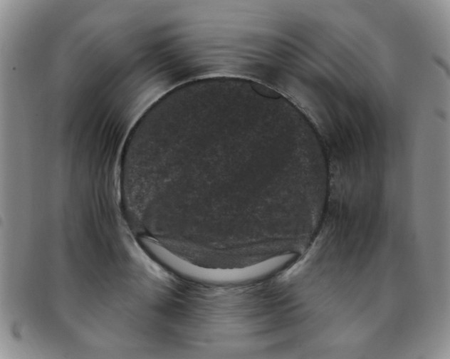 X0000097500892200803142017