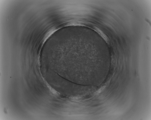 X0000097500893200803142017