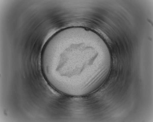 X0000097500894200803142017