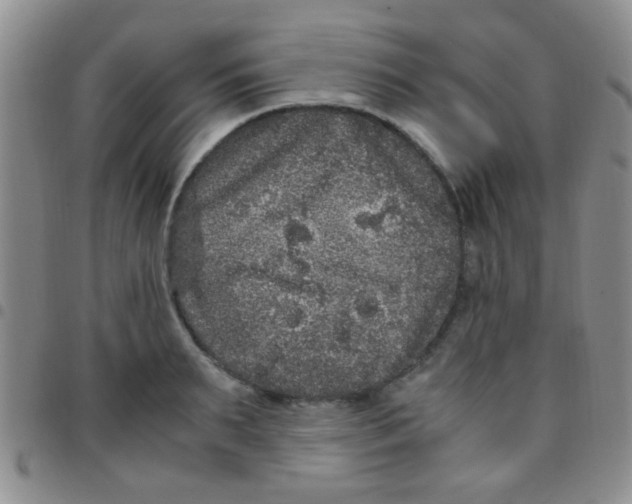 X0000097500895200803142017