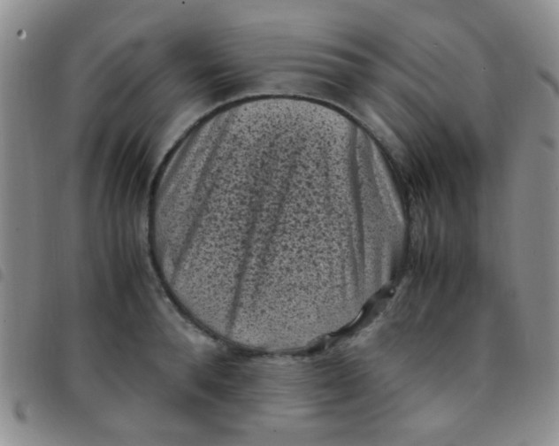 X0000097500896200803142017