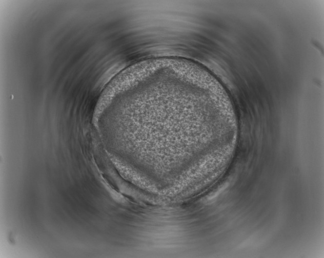 X0000097500897200803142017