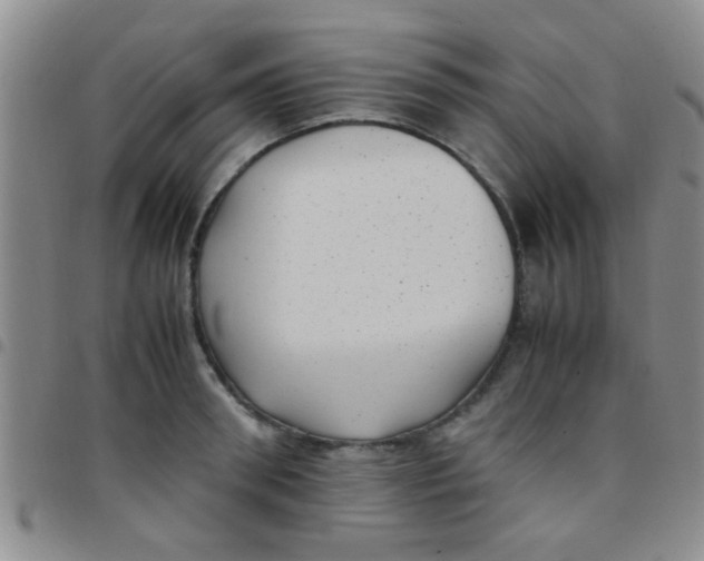 X0000097500898200803142017