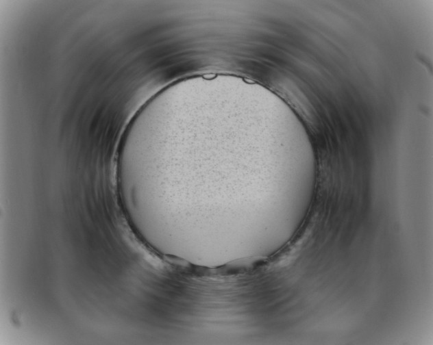 X0000097500900200803142017