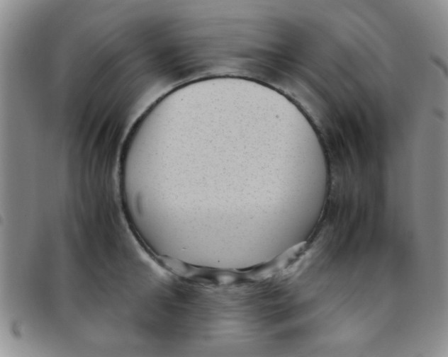 X0000097500902200803142017