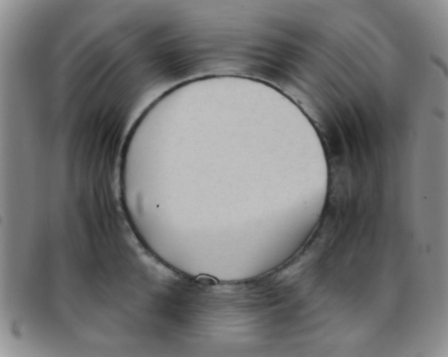 X0000097500904200803142017