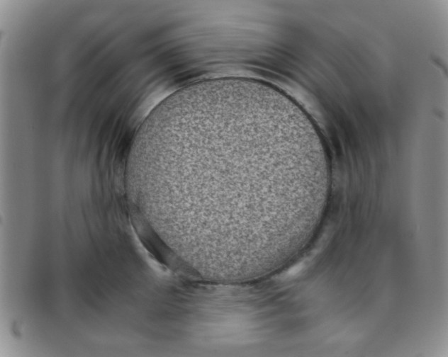 X0000097500905200803142017