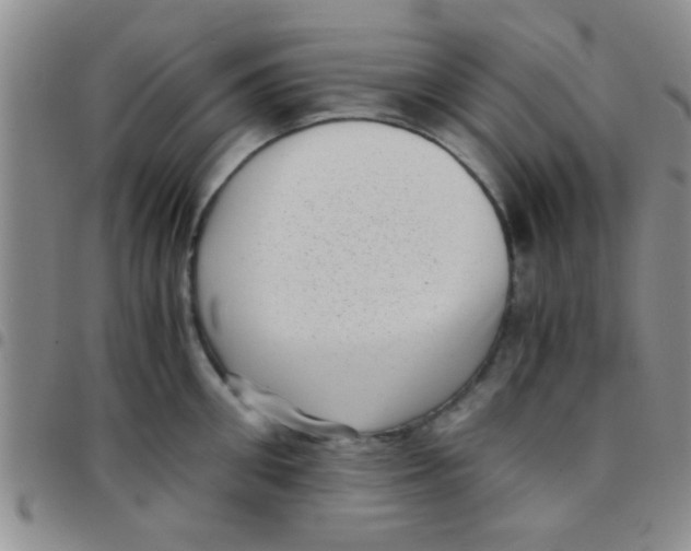 X0000097500906200803142017