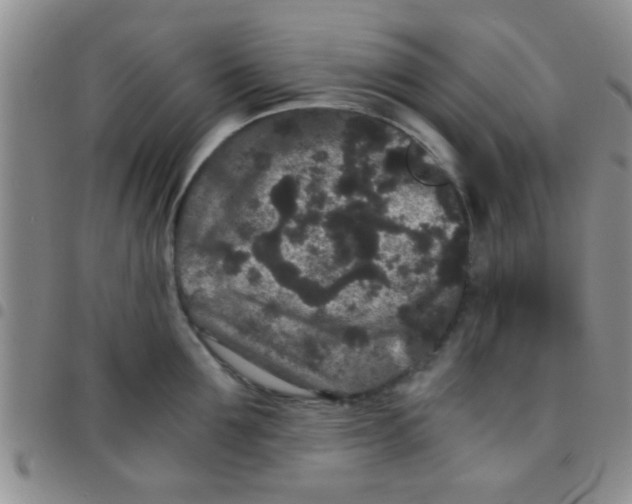 X0000097500907200803142017