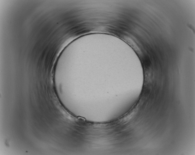 X0000097500908200803142017