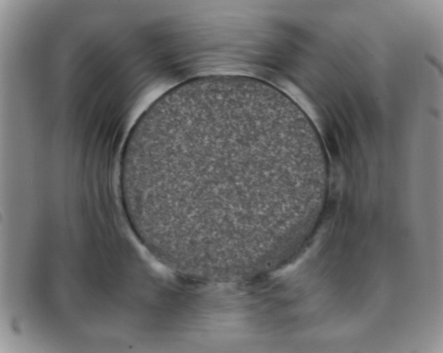 X0000097500909200803142017