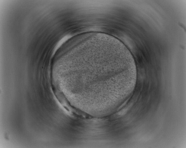 X0000097500910200803142017