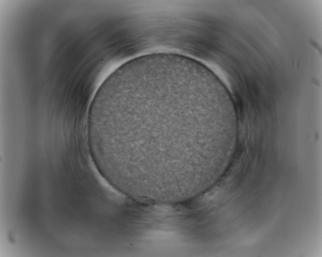 X0000097500911200803142017