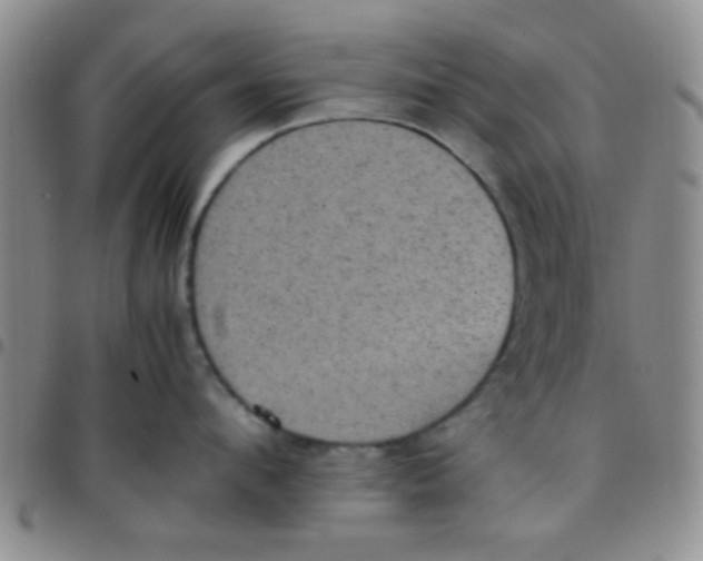 X0000097500912200803142017