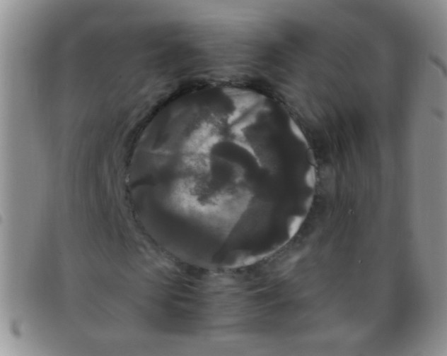 X0000097500913200803142016